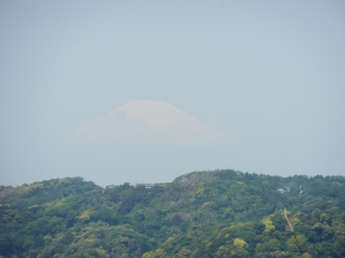 妙法寺富士.JPG