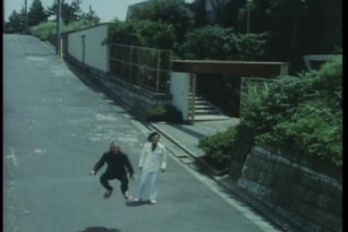 PDVD_028.jpg