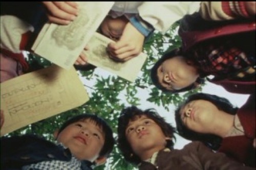 PDVD_008.jpg