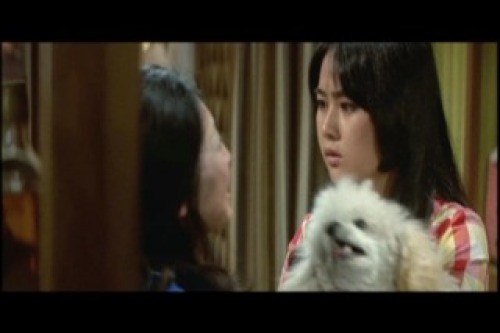 PDVD_018.jpg