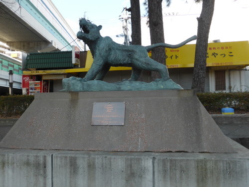P1000792.JPG