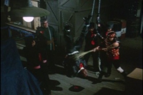 PDVD_009.jpg