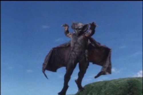 PDVD_010.jpg