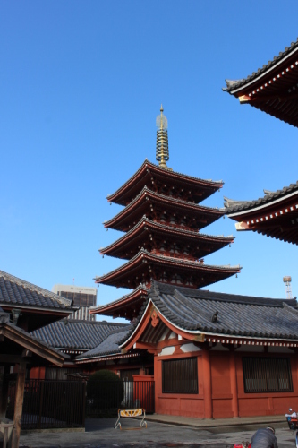 IMG_5247.JPG