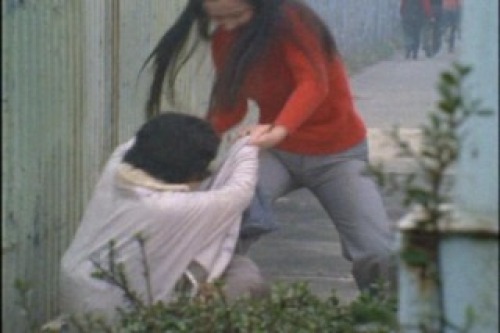 PDVD_040.jpg