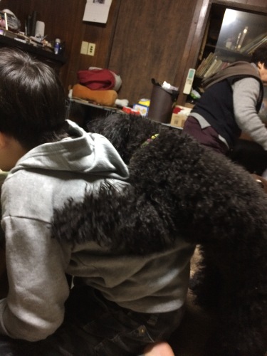 IMG_0680 - コピー.JPG