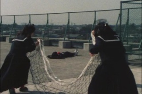 PDVD_009.jpg
