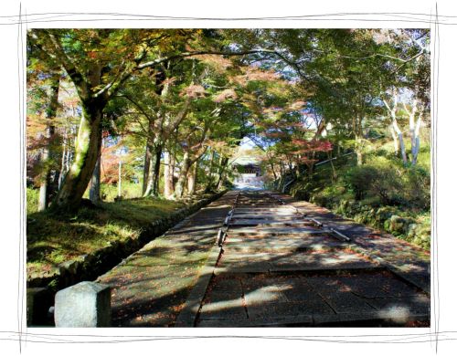 京都　毘沙門堂　紅葉