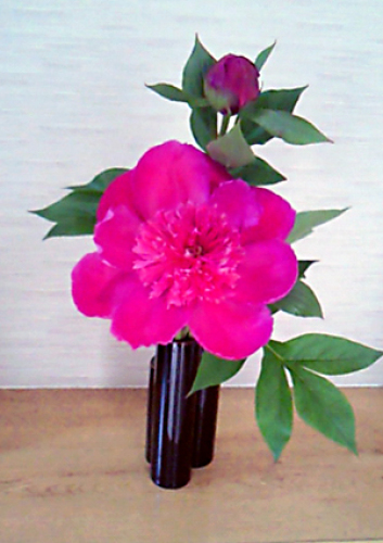 201304051429000.jpg