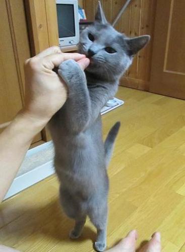 たっち！５.JPG