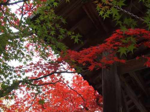 あだし野　念仏寺-3.jpg