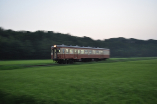DSC_0077.jpg
