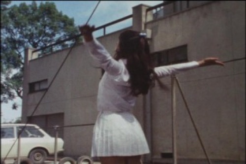 PDVD_033.jpg