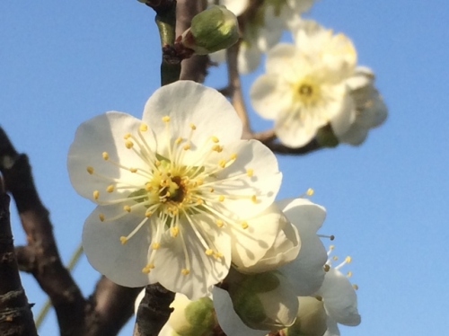 IMG_4267 (640x479).jpg