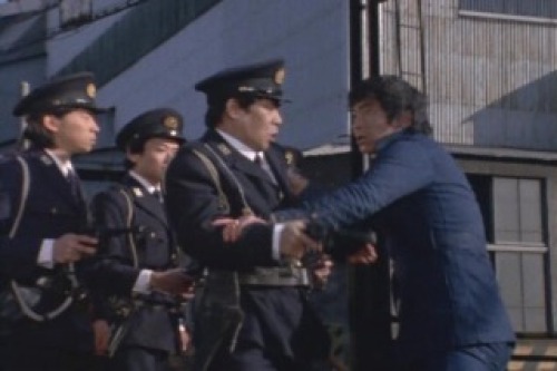 PDVD_020.jpg