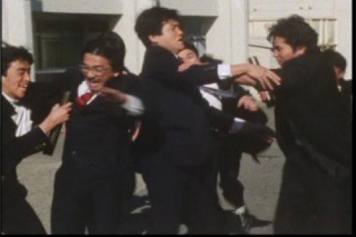 PDVD_005.jpg