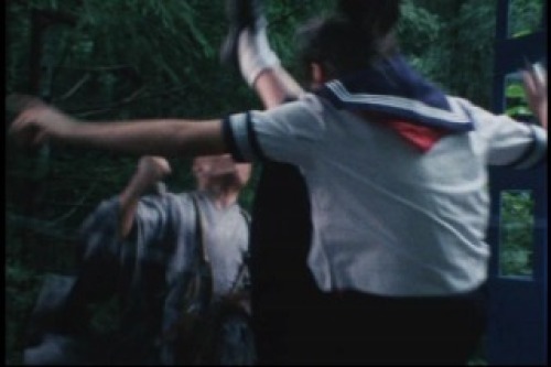 PDVD_035.jpg