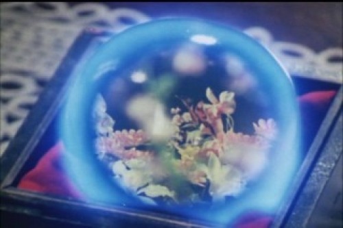 PDVD_029.jpg