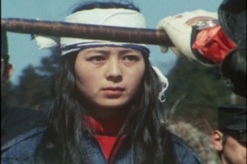 PDVD_011.jpg