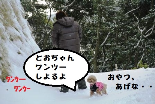 みんなで雪遊び (104).JPG