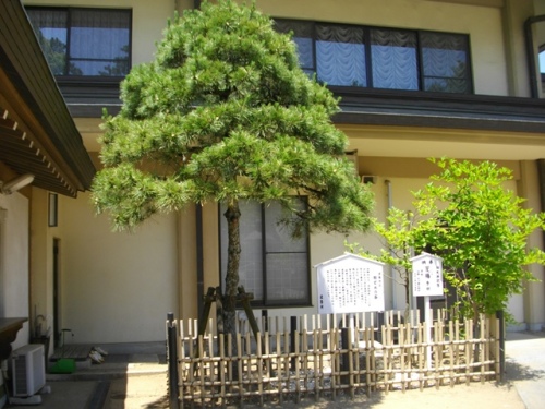 葛飾八幡宮源頼朝駒どめの石 (1).JPG