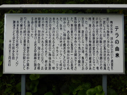 P1000146.JPG