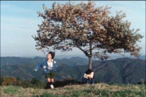 PDVD_211.jpg