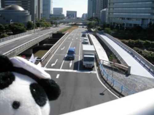 歩道橋から.jpg