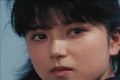 PDVD_021.jpg