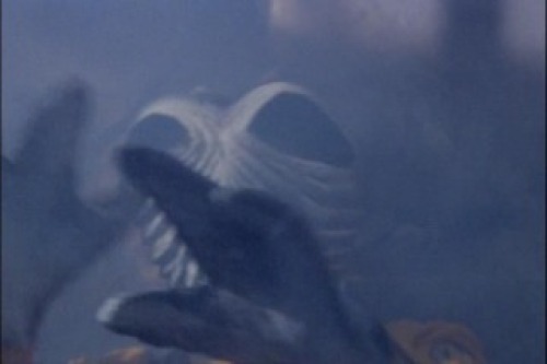 PDVD_024.jpg