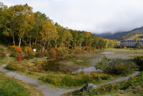 蓮池紅葉２０１０.jpg