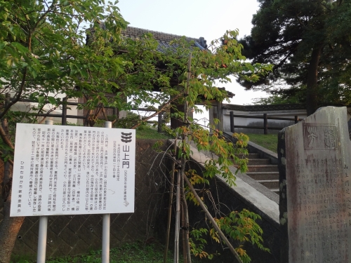 DSC02287.jpg