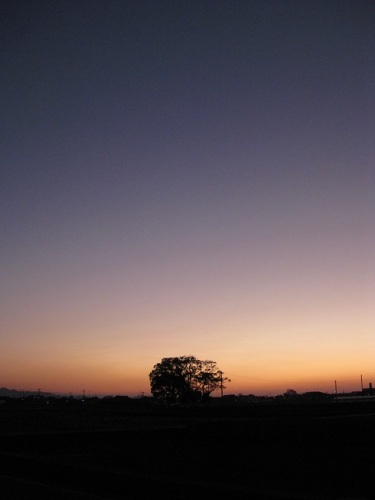 夕焼け空