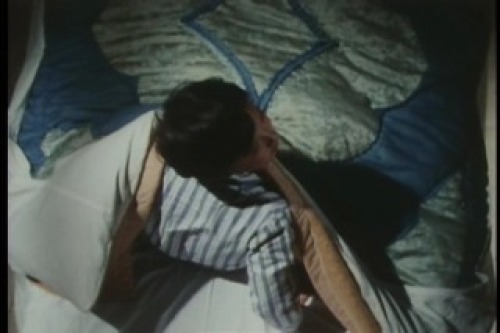 PDVD_006.jpg