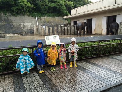 IMG_3936_R.JPG