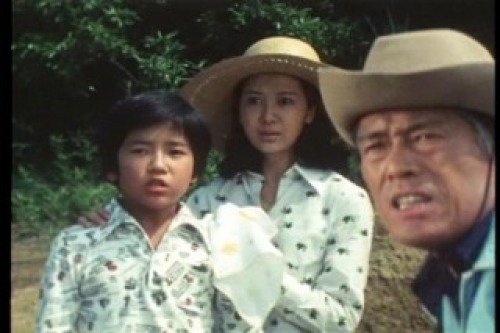 PDVD_001.jpg