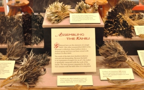 pict-ビショップ 19.jpg