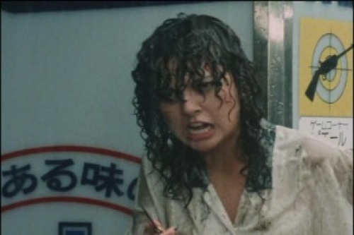 PDVD_019.jpg