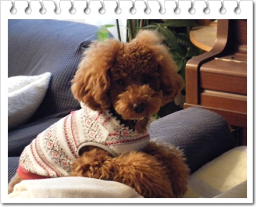 DSCF1227.JPG