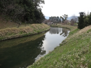 DSC00679.jpg