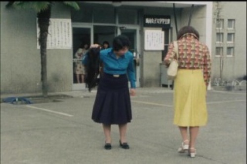 PDVD_008.jpg