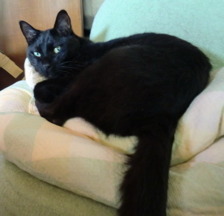 DCIM 005(V.2014_05_04__03_07_03).jpg