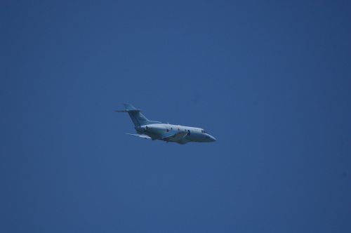 IMGP6518.JPG