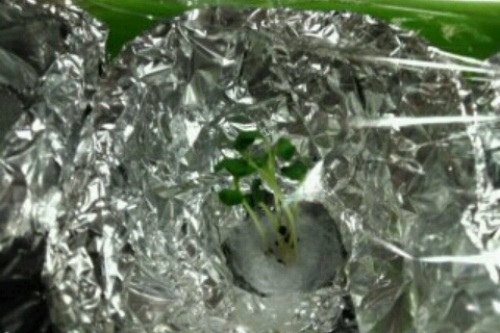 2016-11-25 18-42-28.jpg