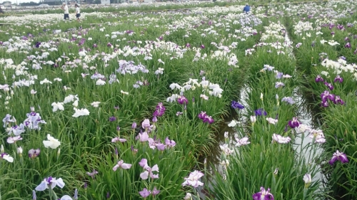 CYMERA_20150626_215709.jpg