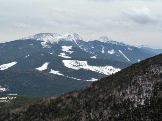 Shirakoma10.JPG