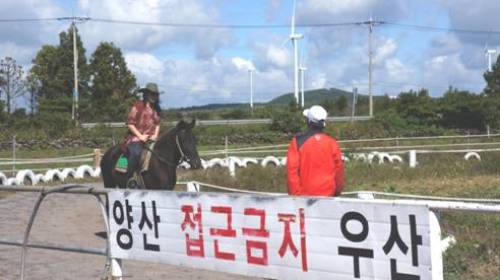 韓国旅行 済州島