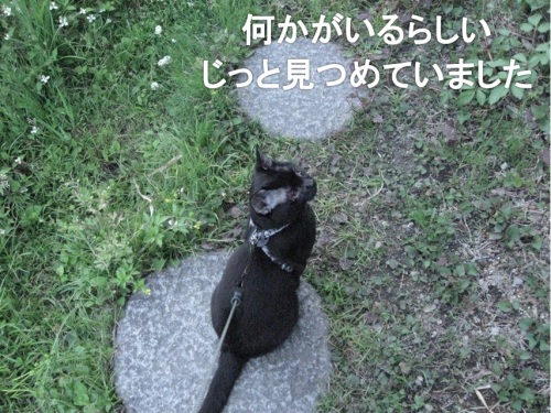 チャン25.jpg