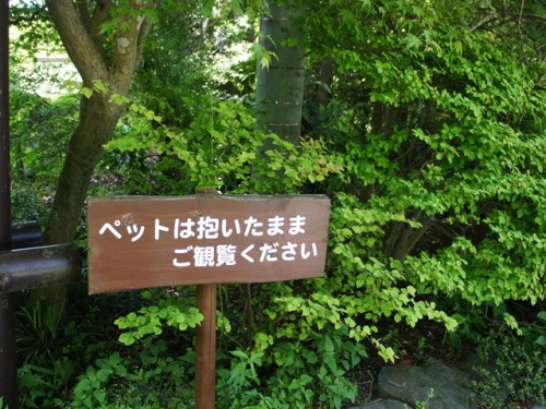 yomotsuku20140518-3.JPG