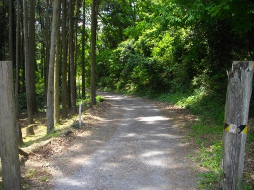 鐘撞堂山登山道.JPG